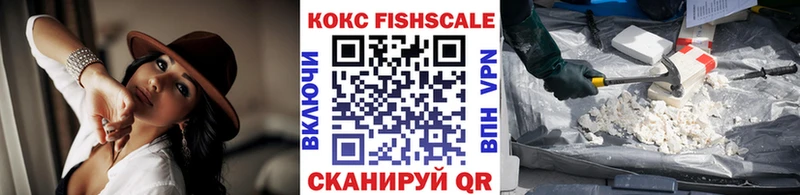 Cocaine FishScale купить наркоту Новая Ляля