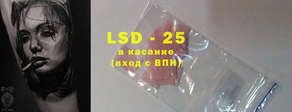 прущие грибы Баксан