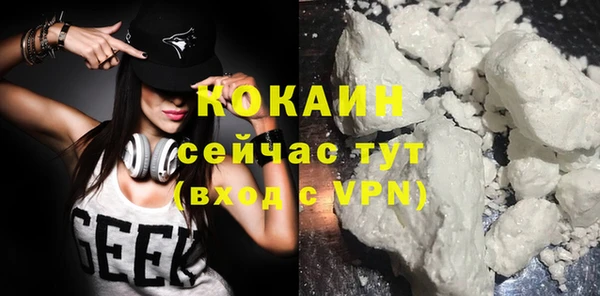 прущие грибы Баксан
