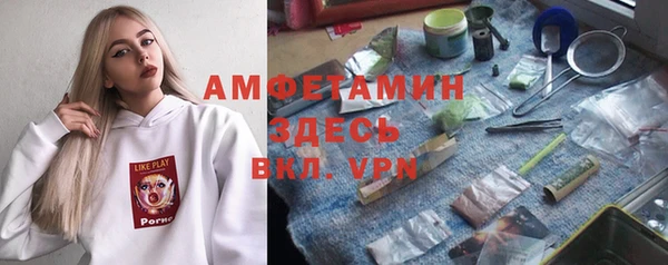 прущие грибы Баксан