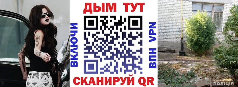 Бошки Шишки планчик Новая Ляля